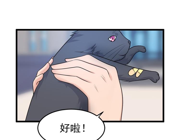 第10话 偶遇猫咪~？！