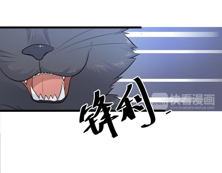 第10话 偶遇猫咪~？！