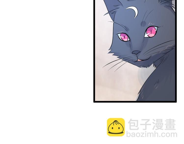 第10话 偶遇猫咪~？！