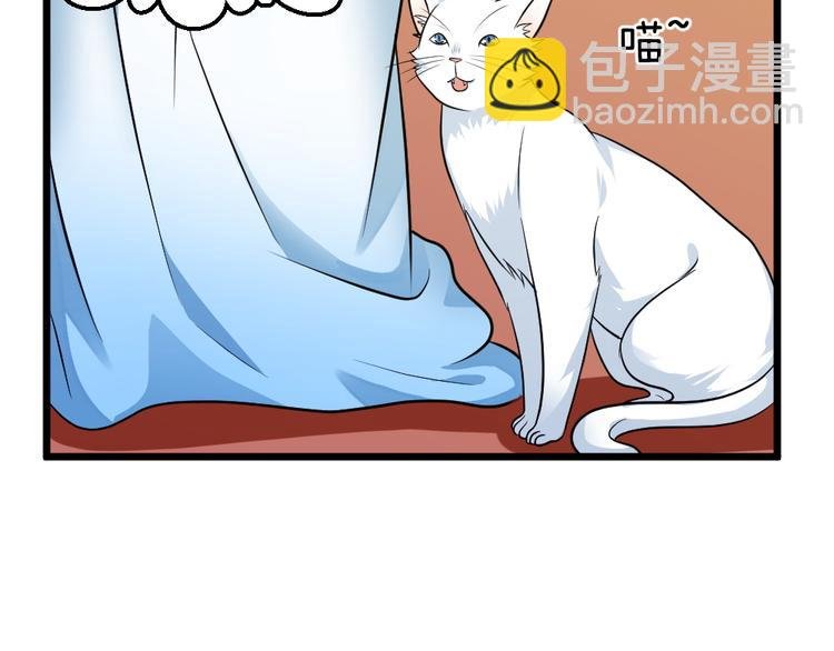 第17话 黑猫的过去！