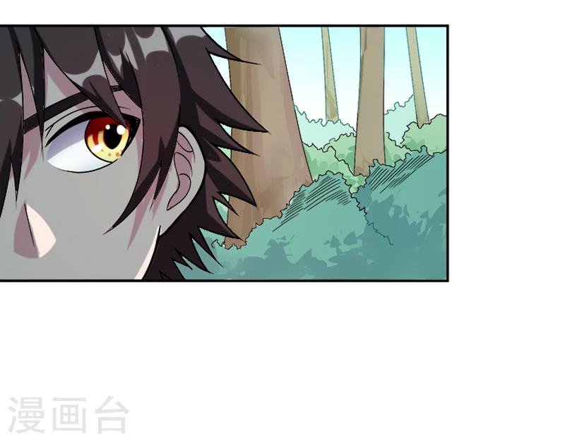 第33话 莫莫的奖励