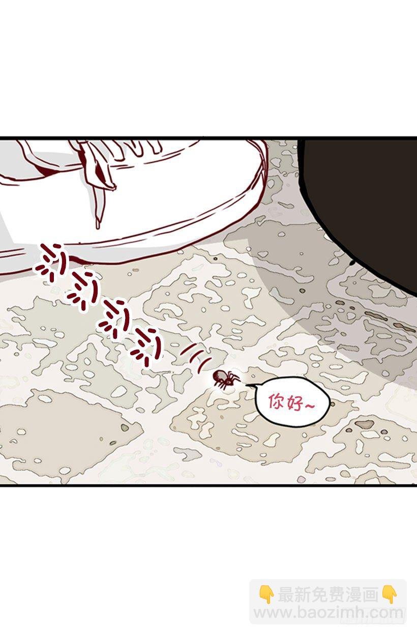 蜘蛛恐惧症