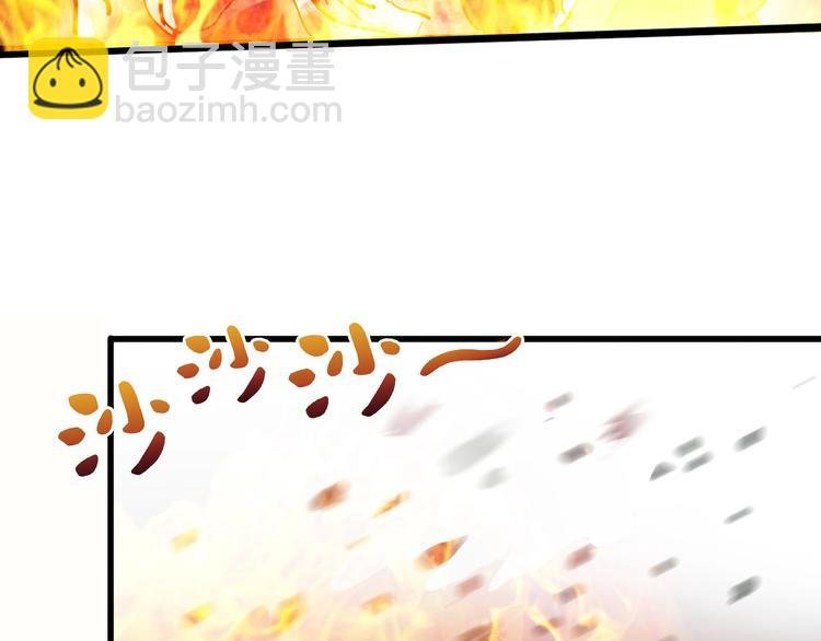 第27话 凤凰之力