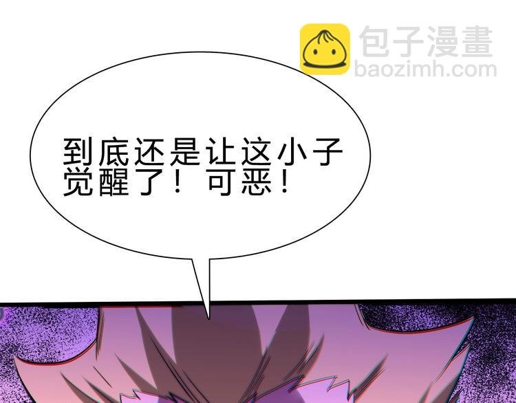 第27话 凤凰之力
