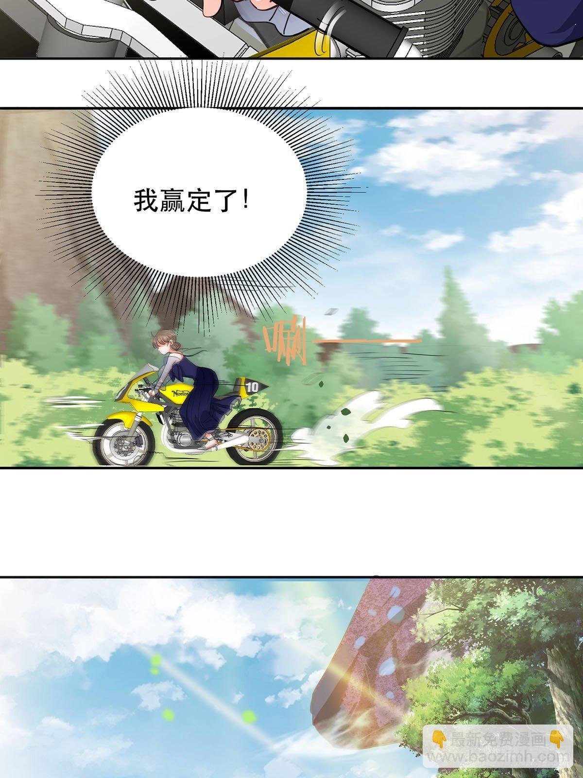 幸运的四叶草