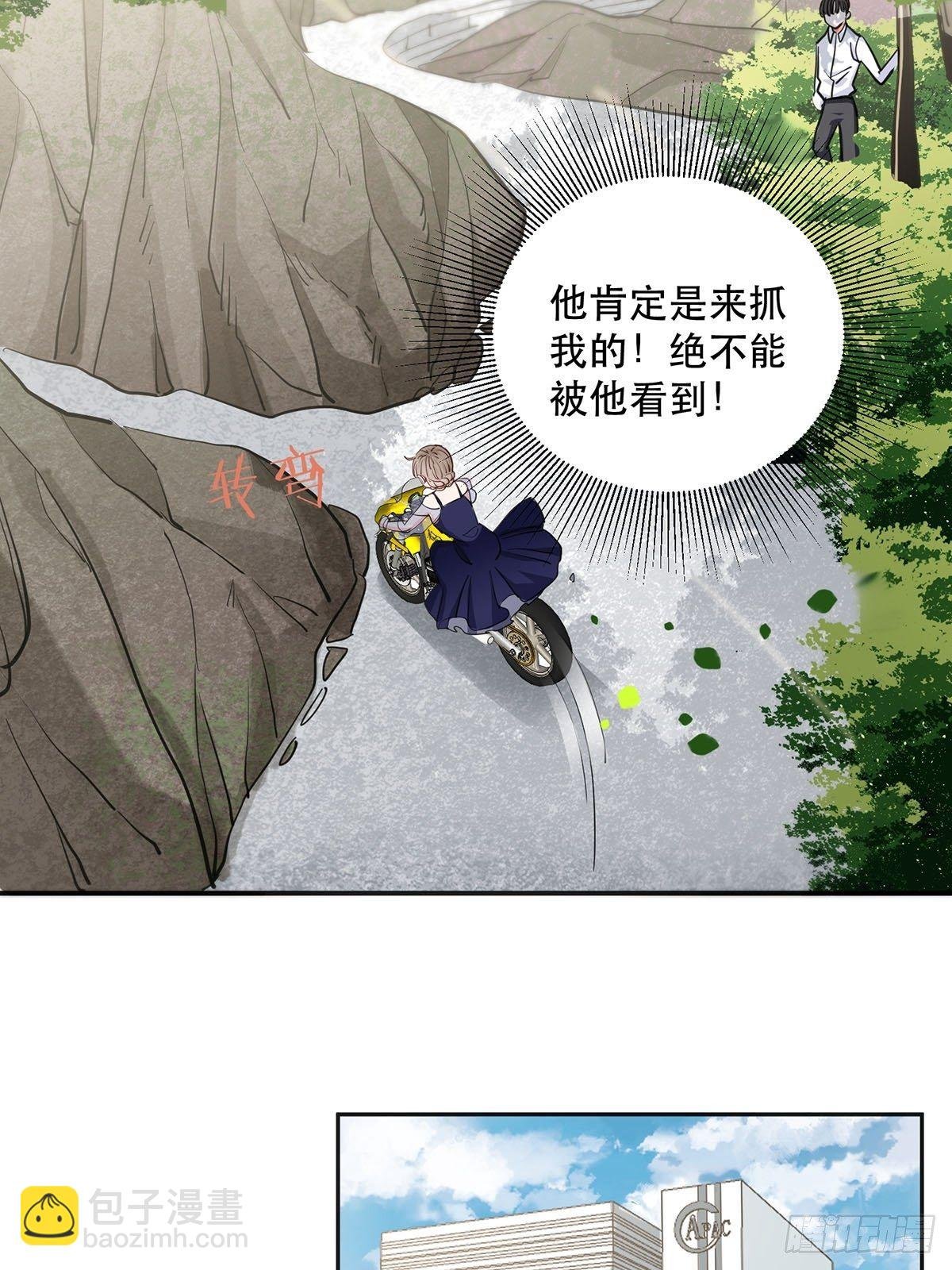 幸运的四叶草