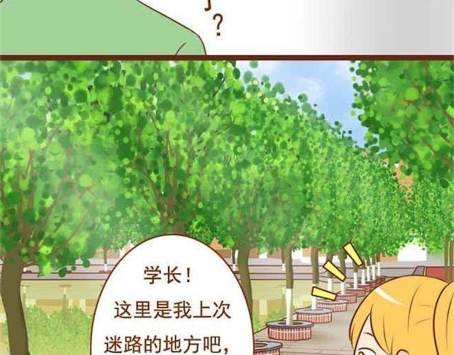 第14话 学长摸我的头了