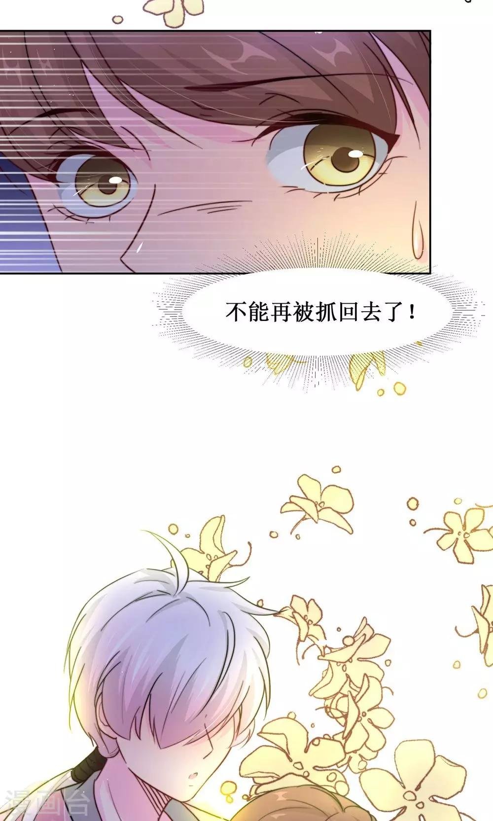 第10话 巷子里的花美男