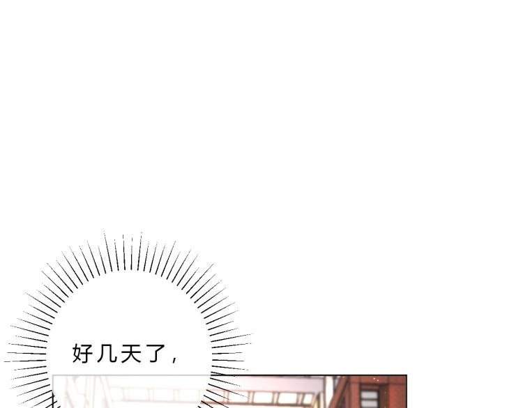 第14话 光环