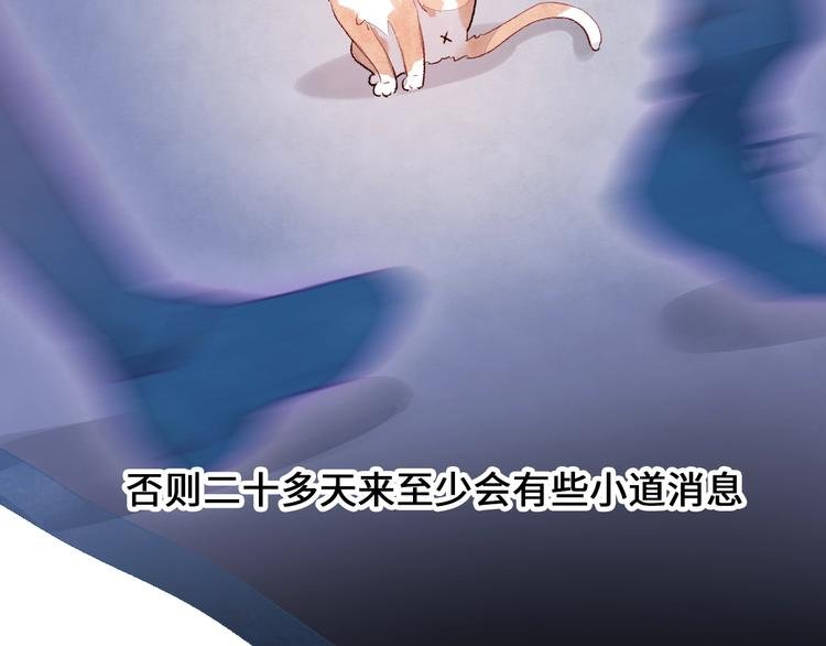 第9话 吸猫的正确姿势