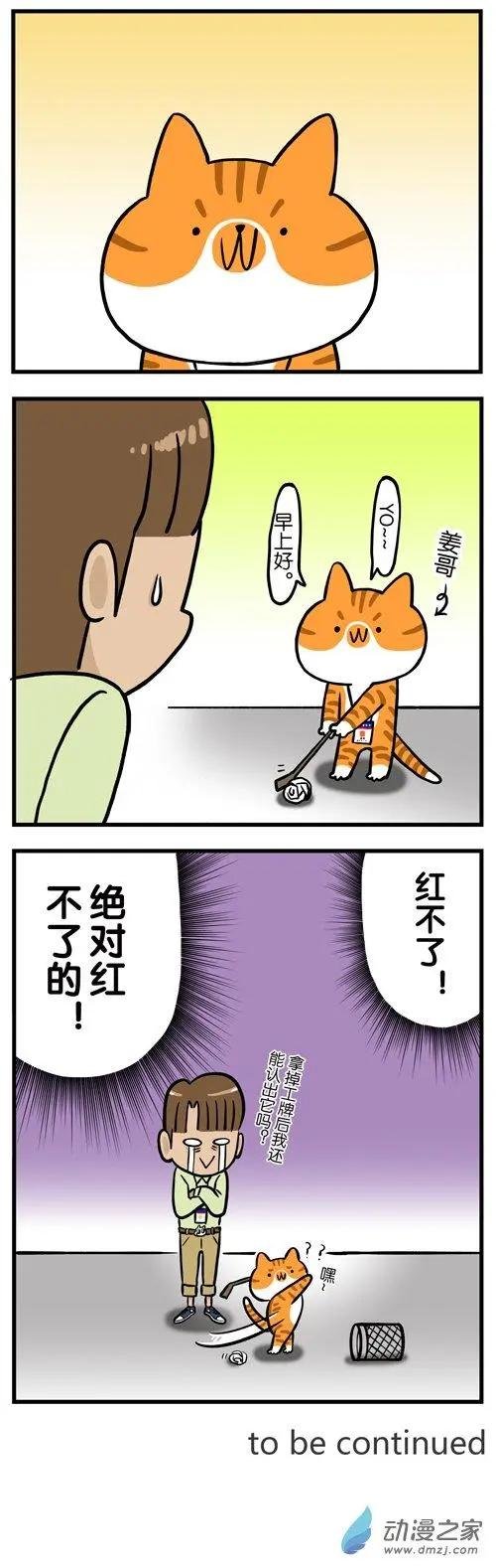 第11回 从此，我看到的橘猫都像姜哥