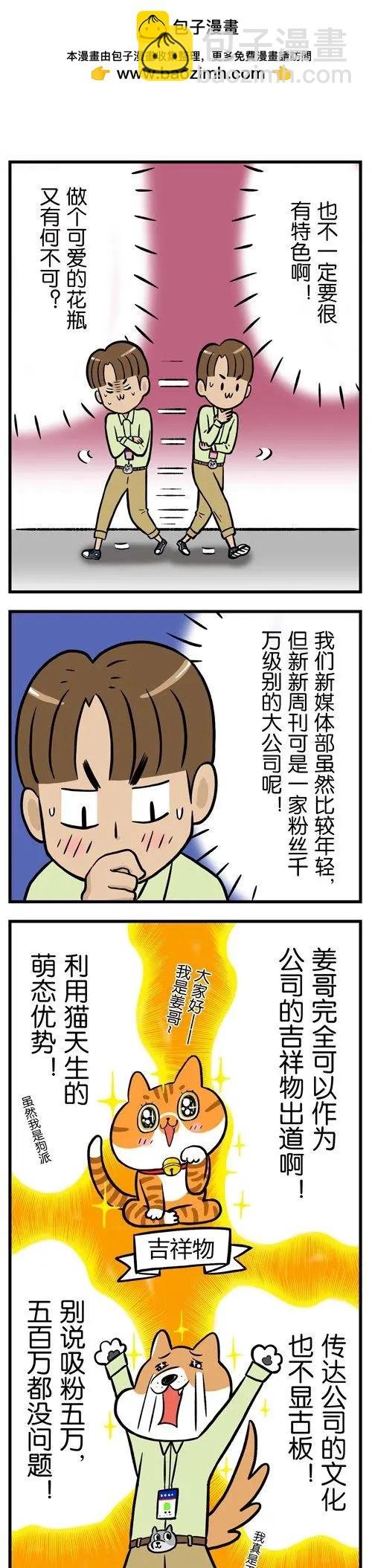 第12回 猫的颜值，由你的摄影技术决定