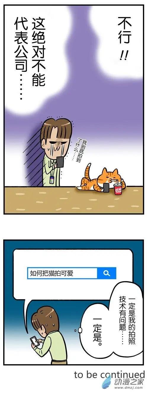第12回 猫的颜值，由你的摄影技术决定