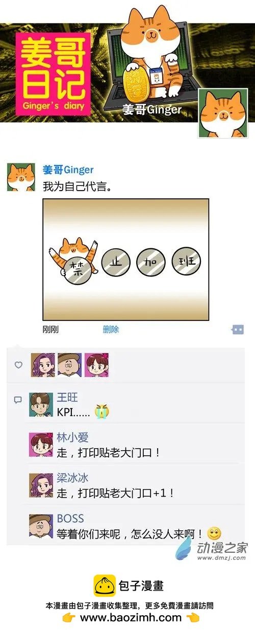 第12回 猫的颜值，由你的摄影技术决定