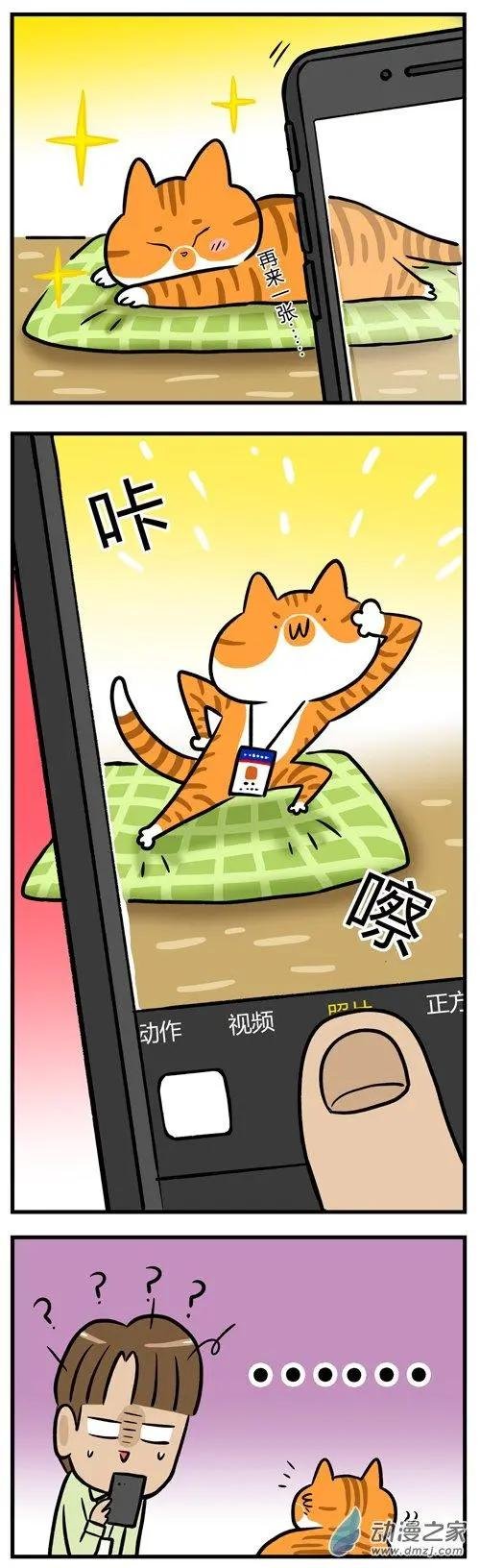 第14回 猫睡着了就能为所欲为？做梦！