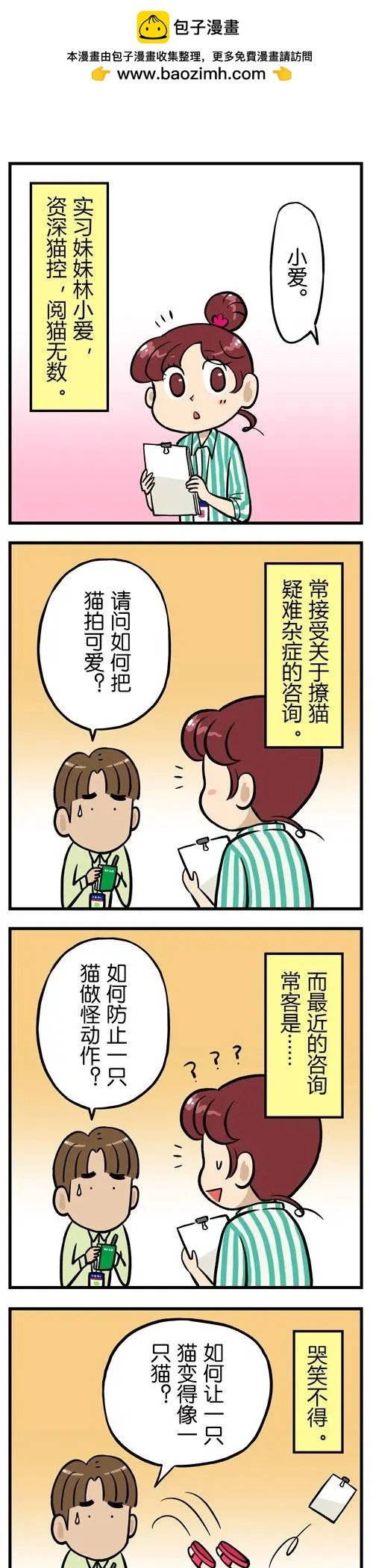 第15回 血泪控诉：吸猫就是一种骚扰！