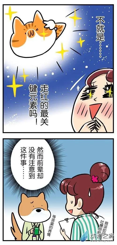 第15回 血泪控诉：吸猫就是一种骚扰！