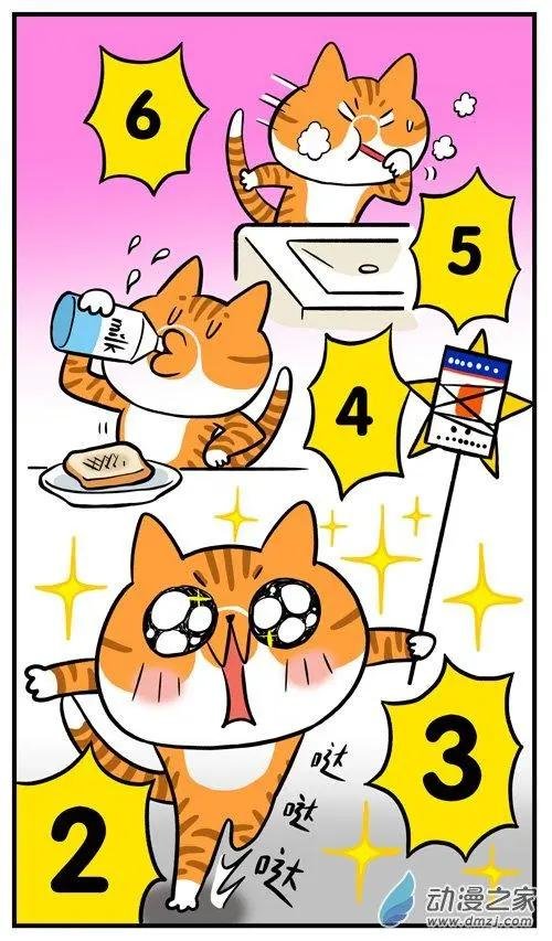 第17回 我也想做一只不用上班的猫
