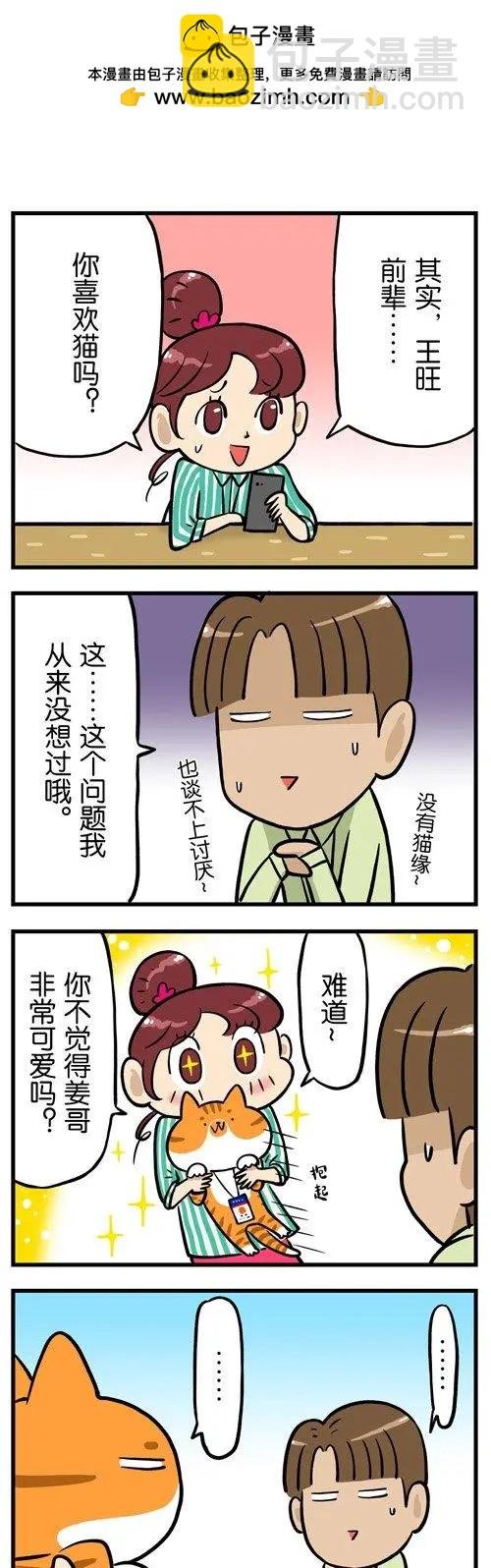 第19回 爱狗的人，无法真正爱猫？