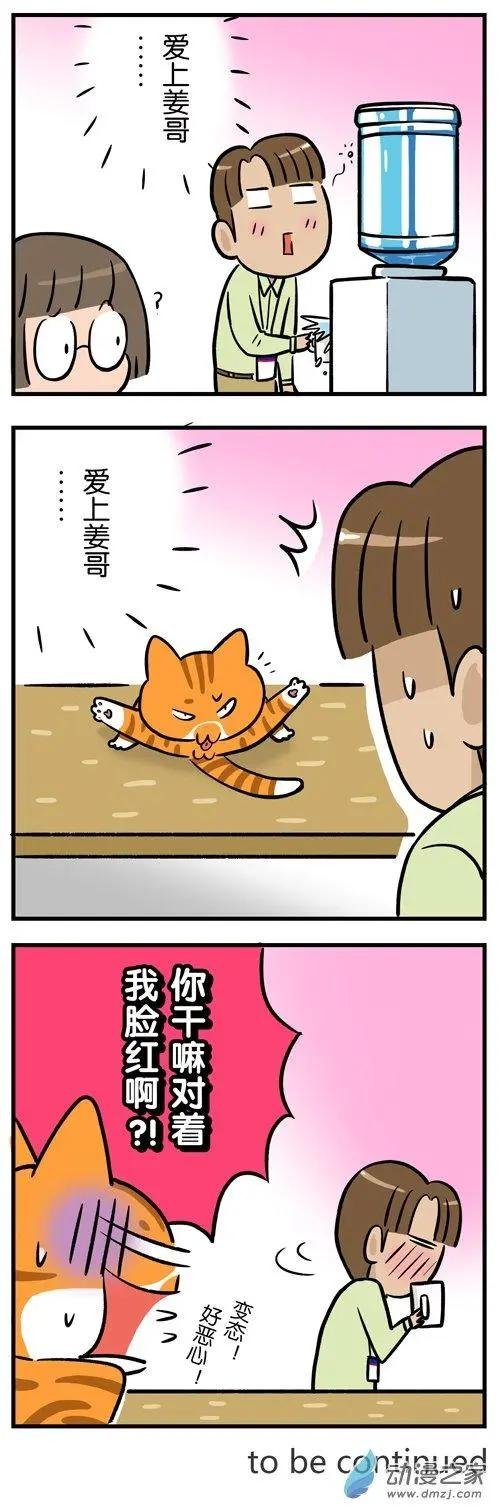 第19回 爱狗的人，无法真正爱猫？