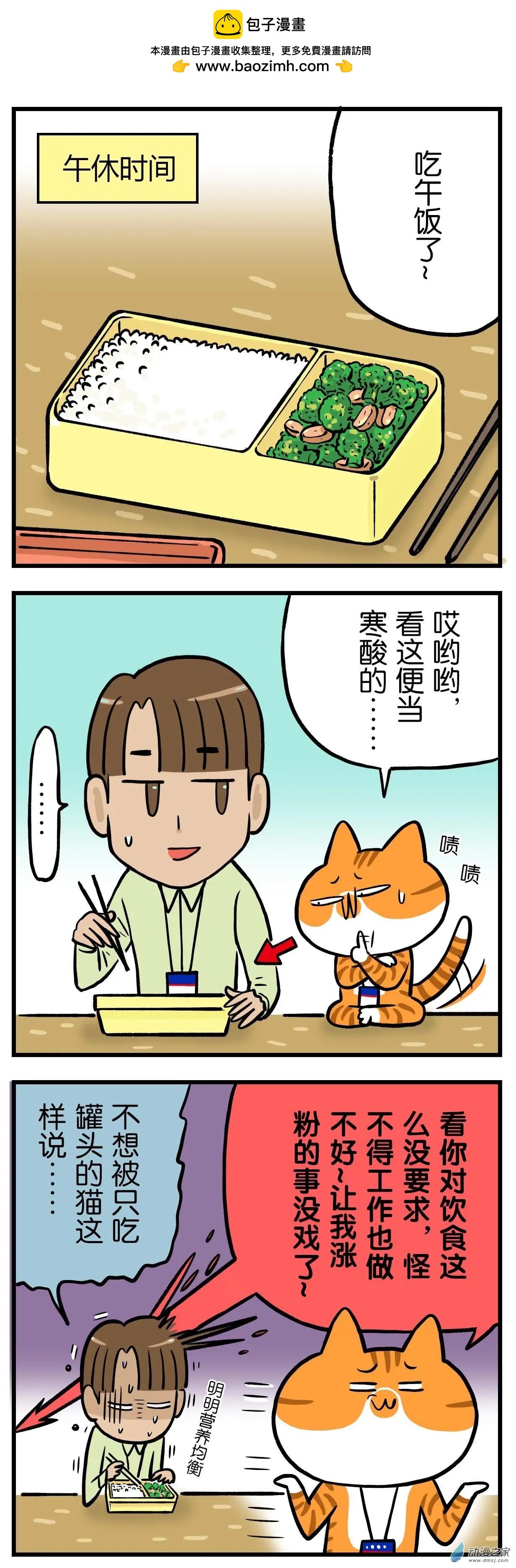 第20回 猫做的便当你敢吃吗？