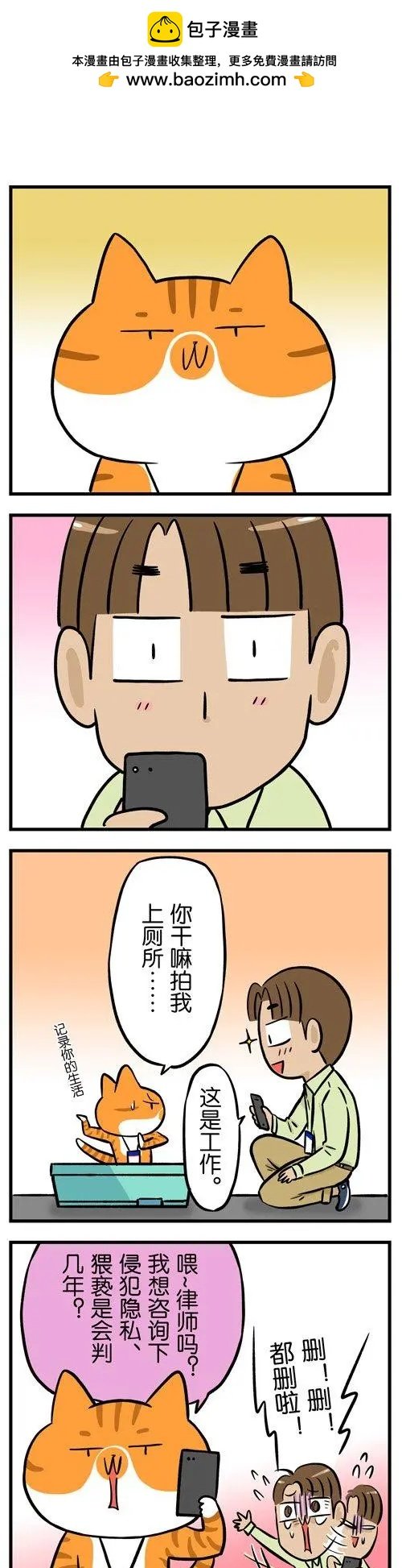 第23回 自从养了猫再也不能好好上过厕所