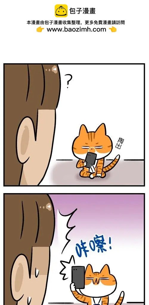 第23回 自从养了猫再也不能好好上过厕所
