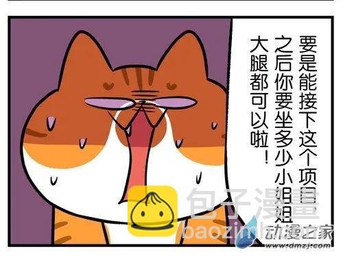 第24回 说什么撸猫，你明明是在骚扰！