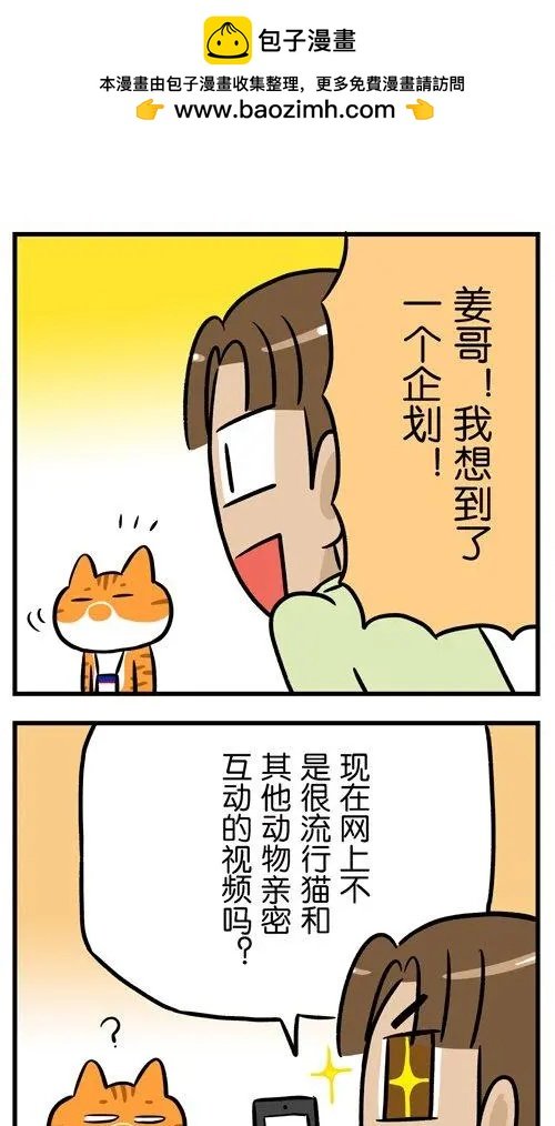 第26回 每一只猫，都是天生莫得感情的杀手
