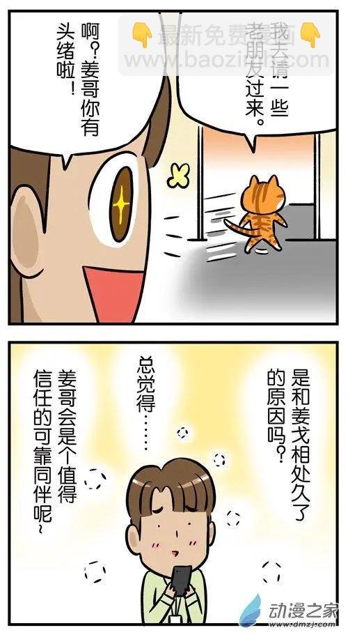 第26回 每一只猫，都是天生莫得感情的杀手