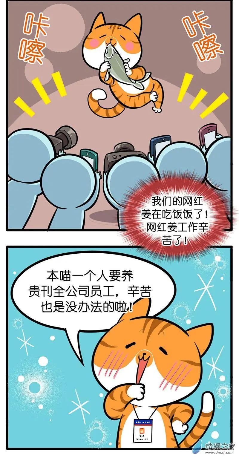 第27回 猫生最膨胀的事，就是被你喜欢
