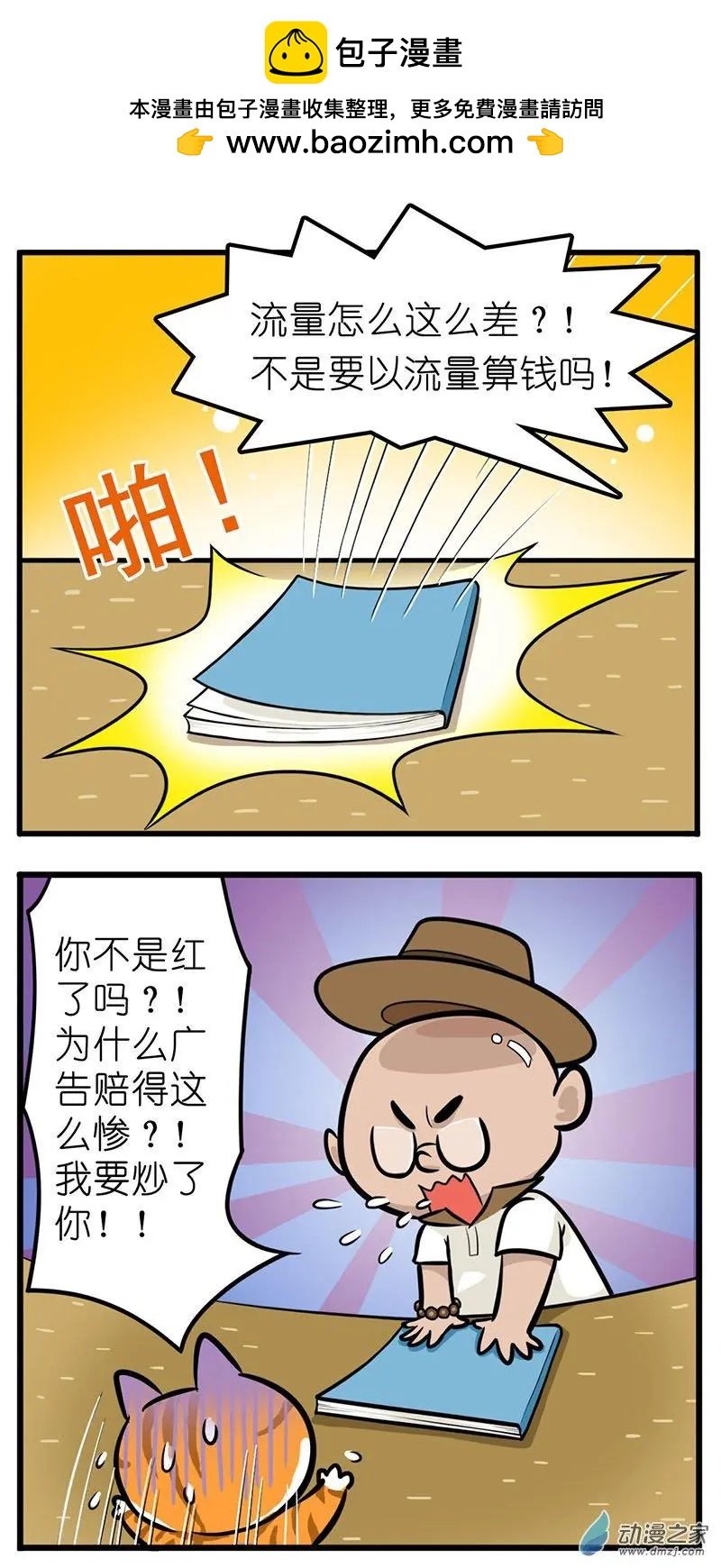 第28回 捡猫回家，是我这辈子最后悔的事