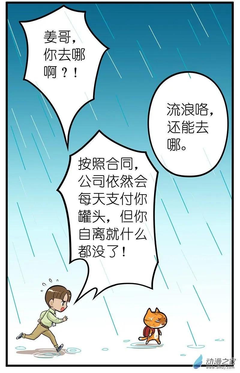 第28回 捡猫回家，是我这辈子最后悔的事