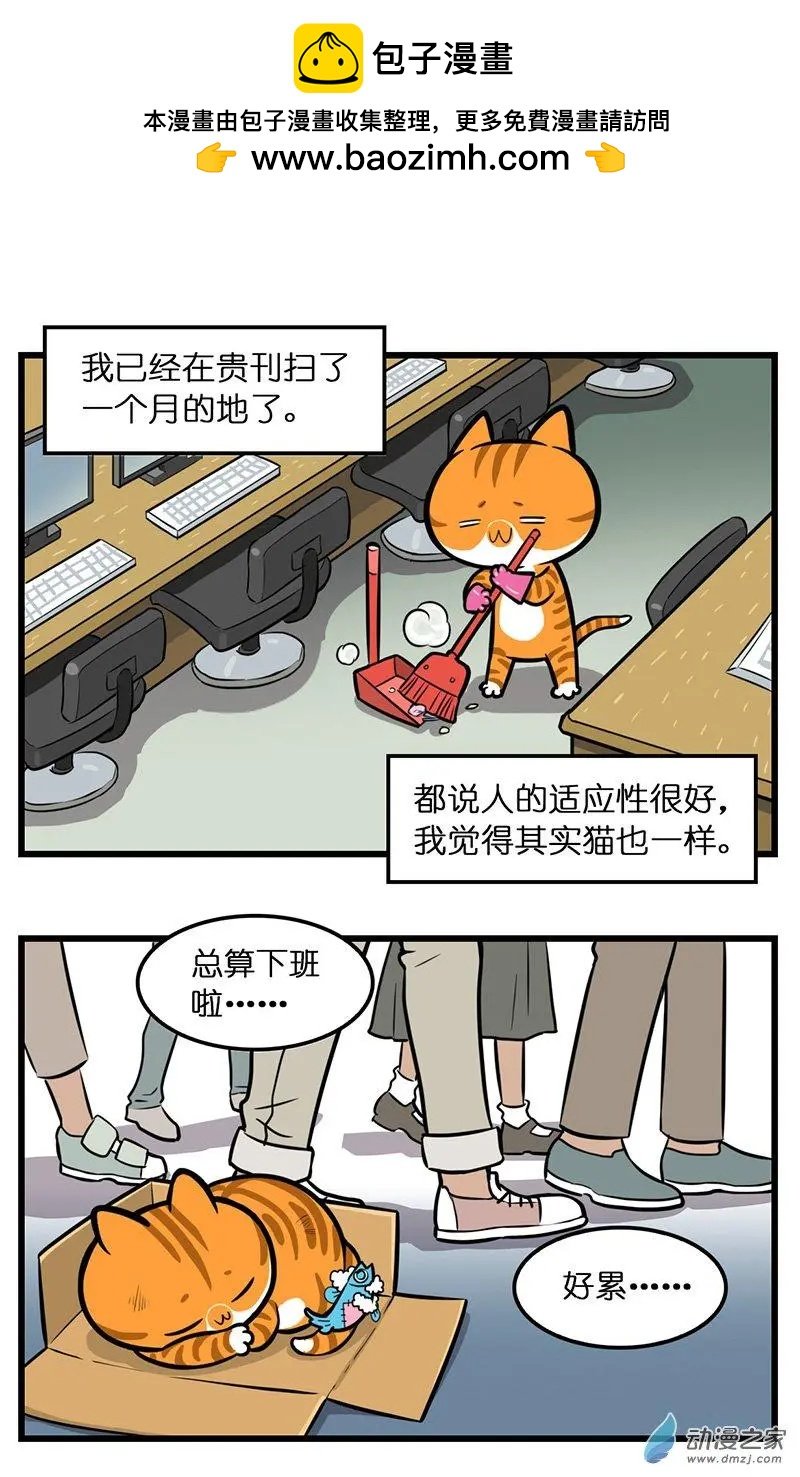 第30回 新开始