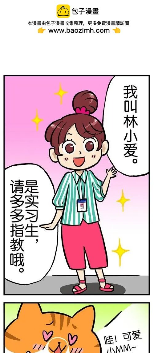 第04回 爱腿之心，猫皆有之