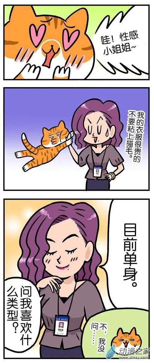 第04回 爱腿之心，猫皆有之