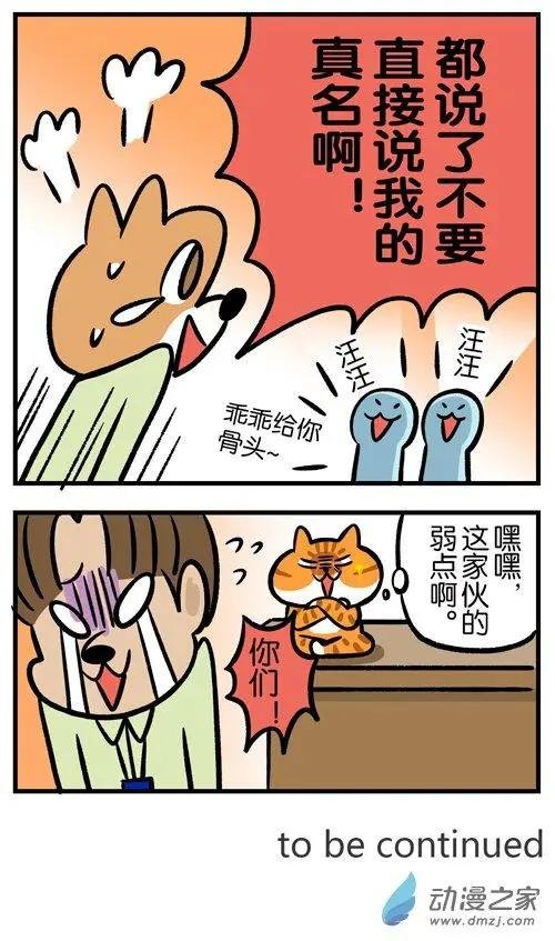 第04回 爱腿之心，猫皆有之