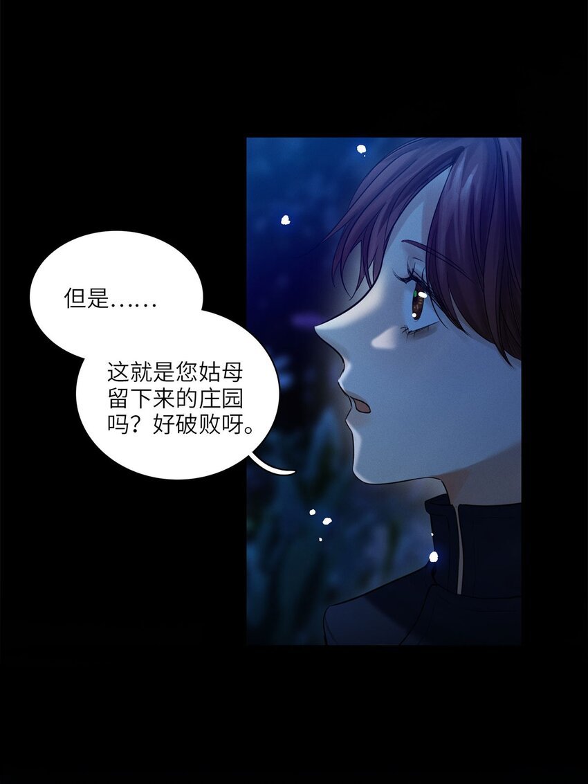 第29话 私生子
