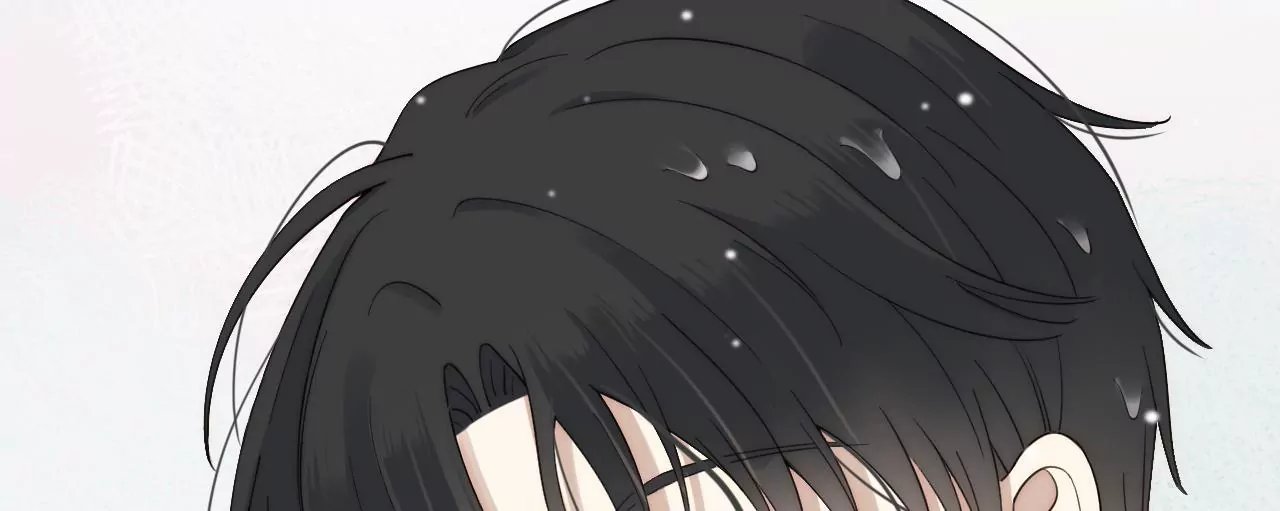相见