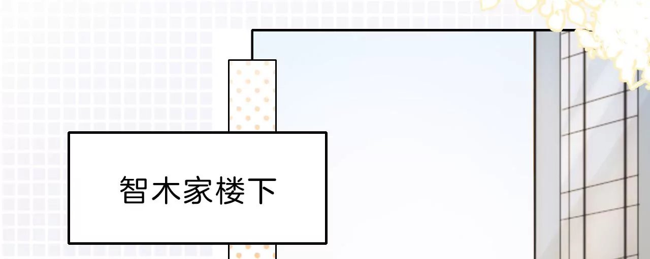 相见