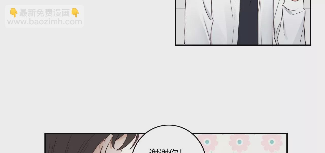 回归各自的轨道