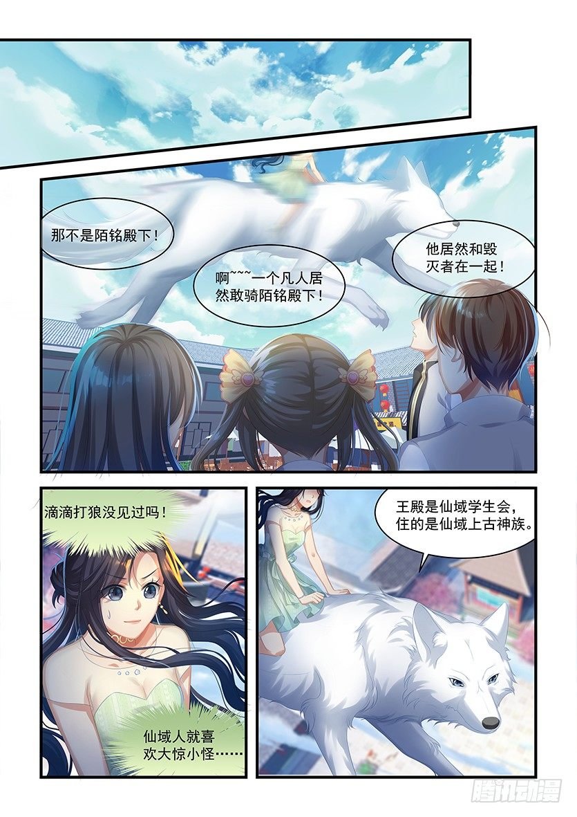 第19话：滴滴打狼