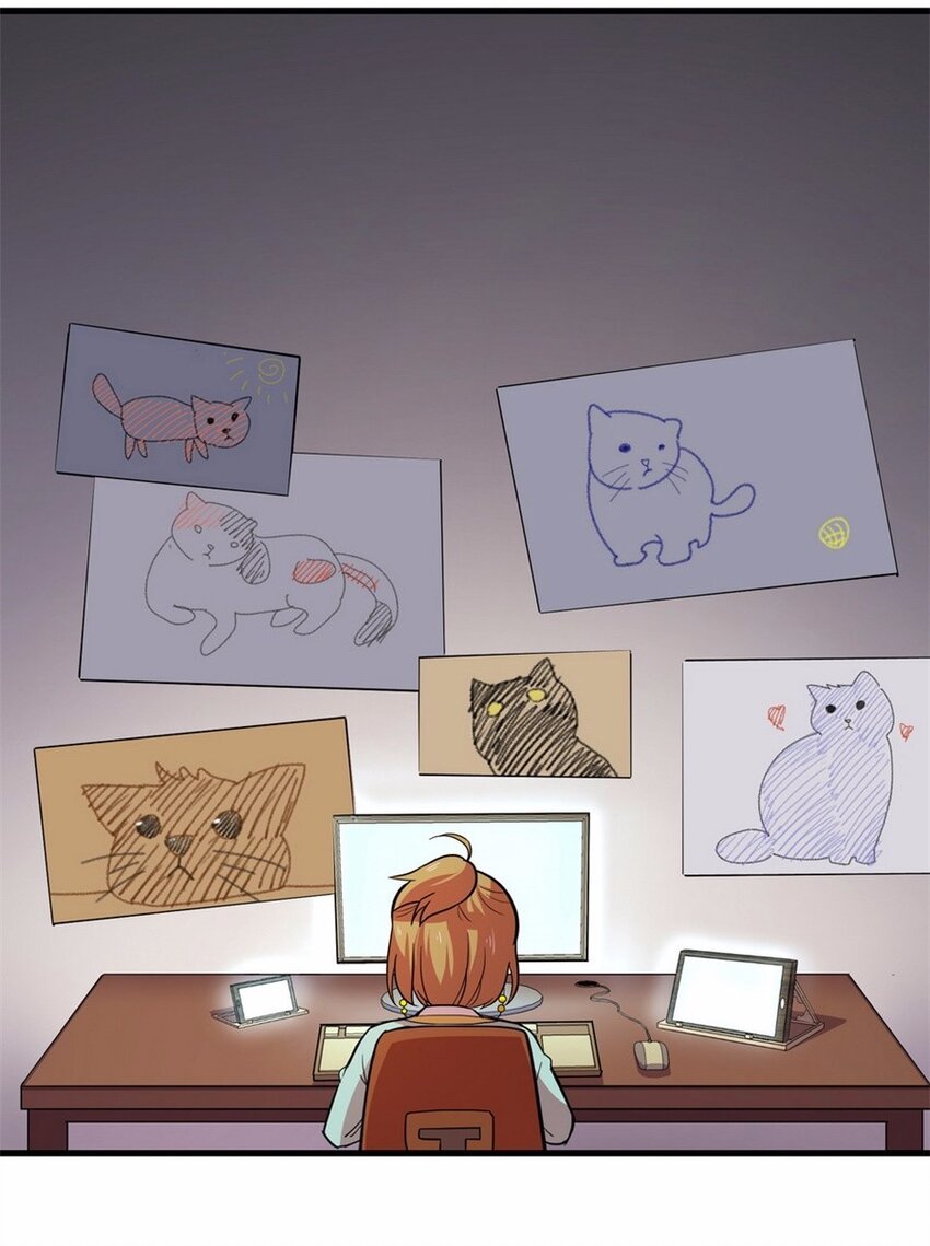041 养猫（一）