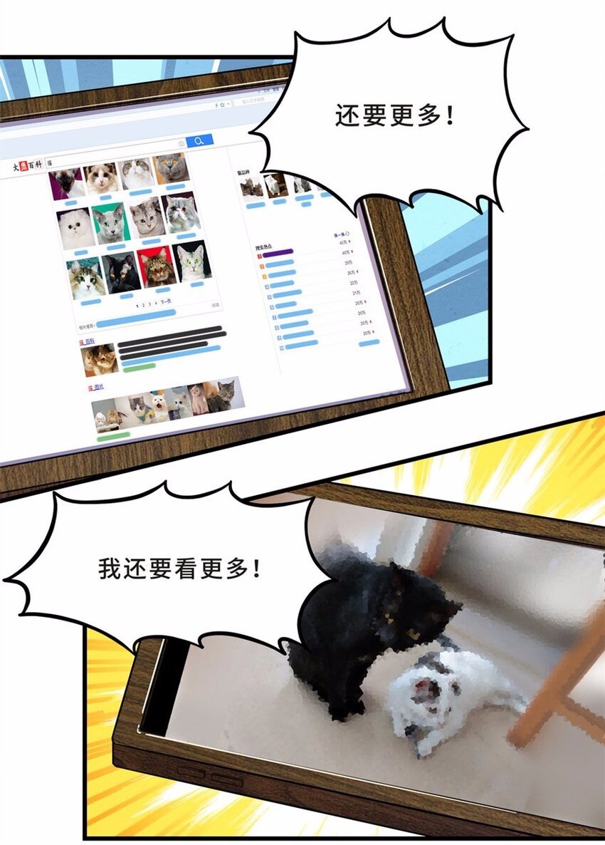 041 养猫（一）