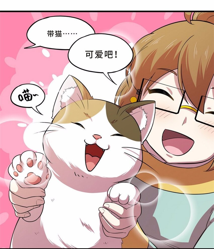 041 养猫（一）