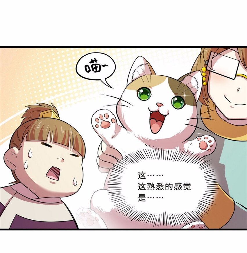 041 养猫（一）