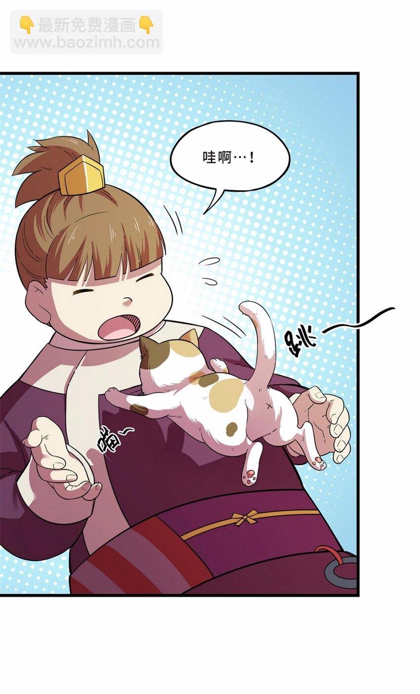 041 养猫（一）