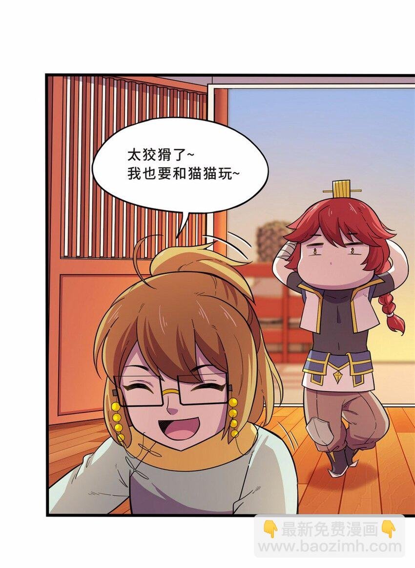 041 养猫（一）