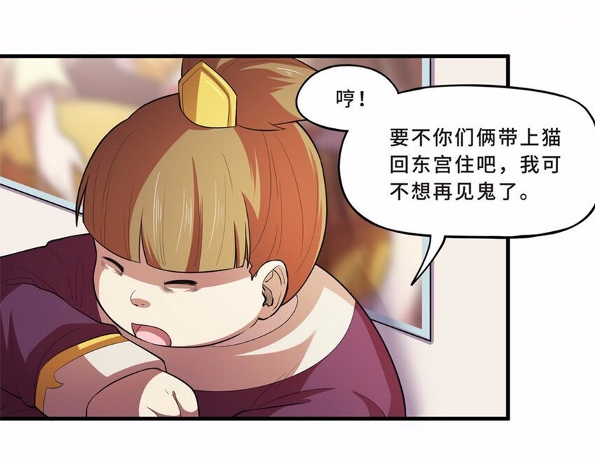 043 养猫（三）