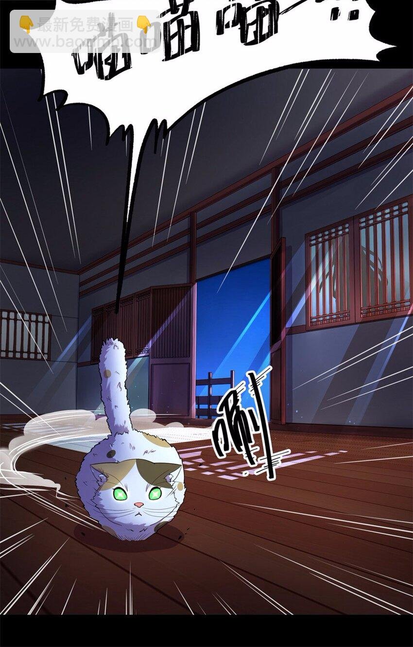 043 养猫（三）